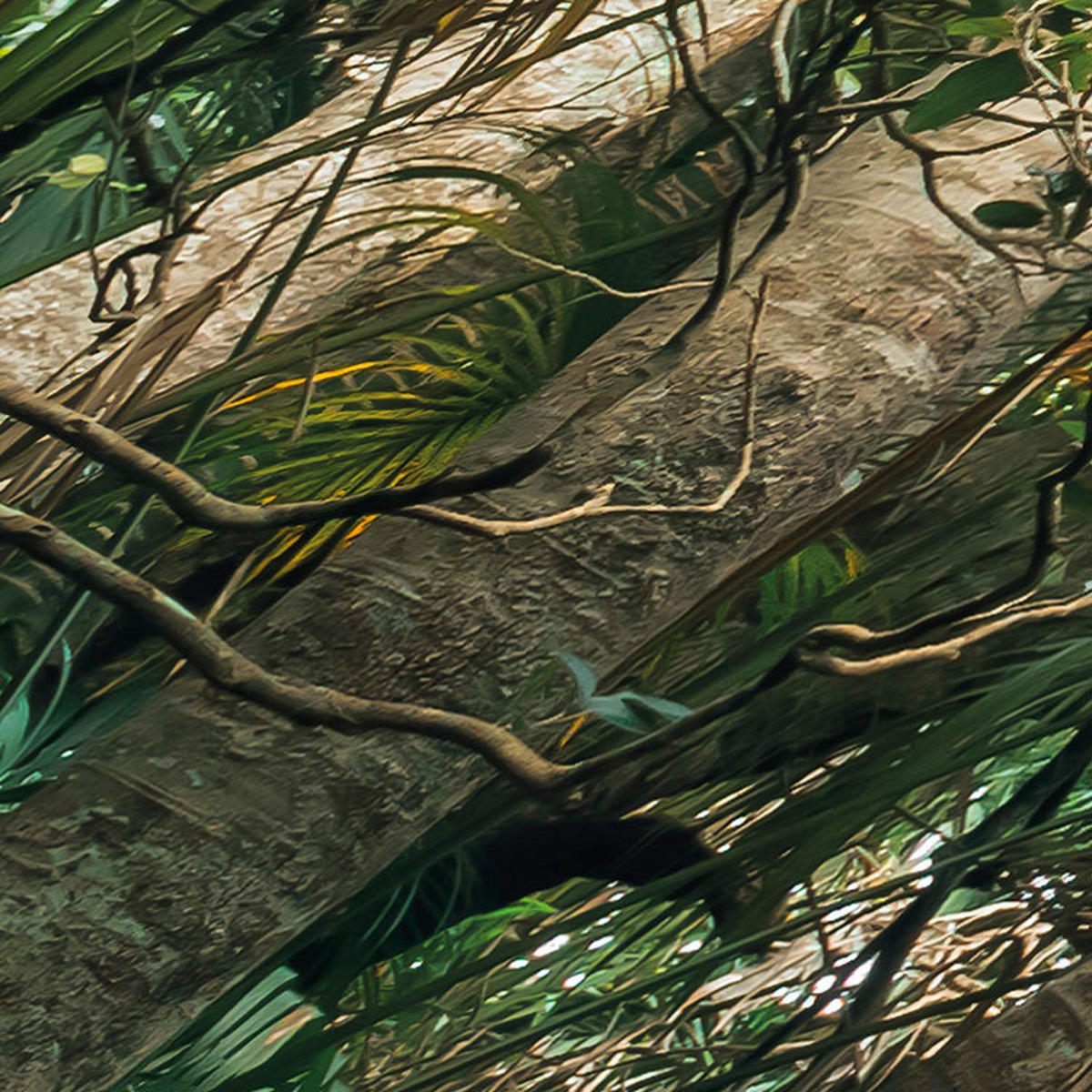 Komar Fototapete Touch the Jungle B/L: ca. 450x280 cm Touch the Jungle - (450,00/280,00cm) - Komar