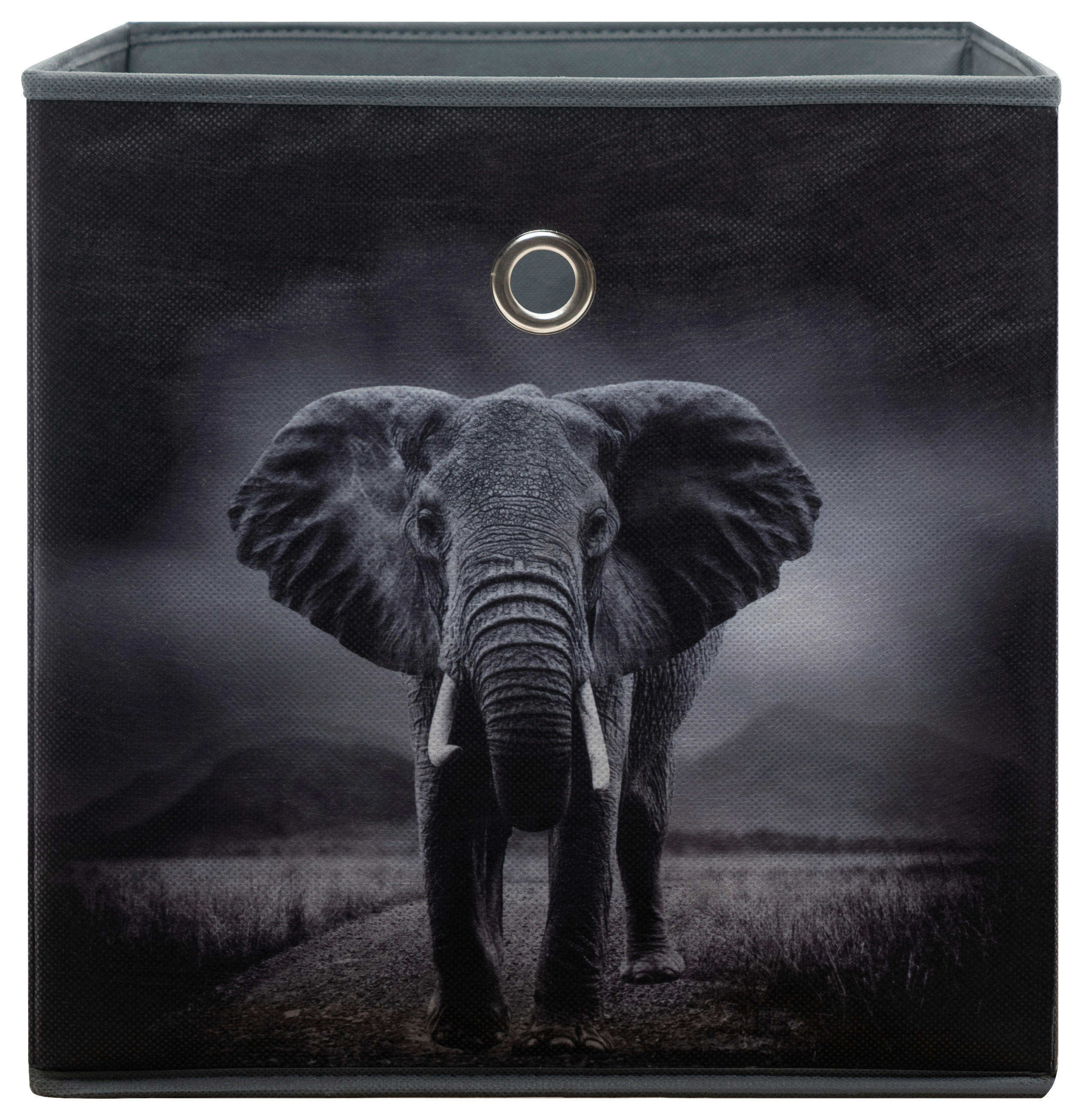 Motivbox Wildlife anthrazit B/H/T: ca. 32x32x32 cm Wildlife - anthrazit (32,00/32,00/32,00cm)