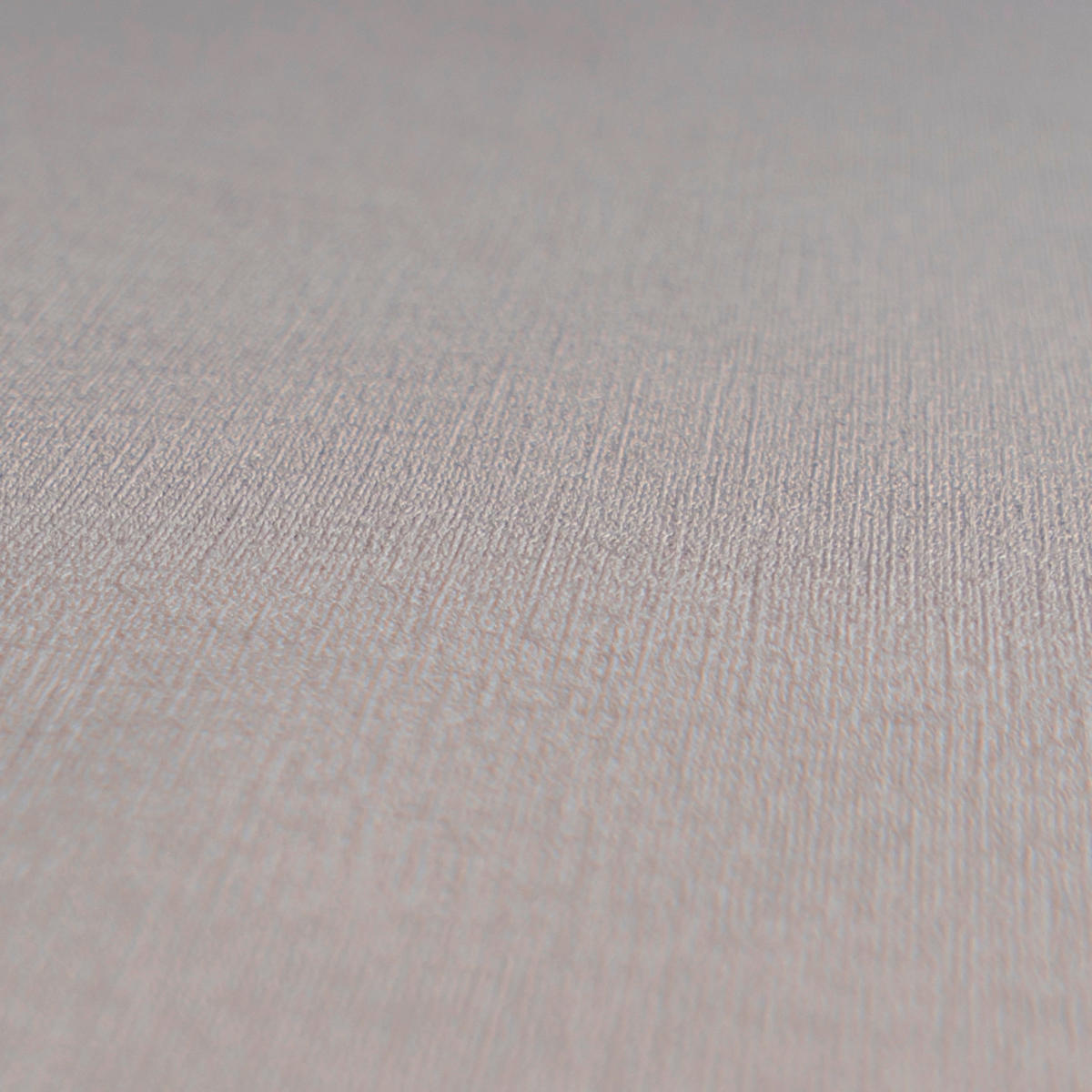 A.S.Creation Vliestapete grau B/H/D: ca. 53x1005x8,5 cm Vliestapete - grau (8,50/1005,00cm) - A.S.Creation