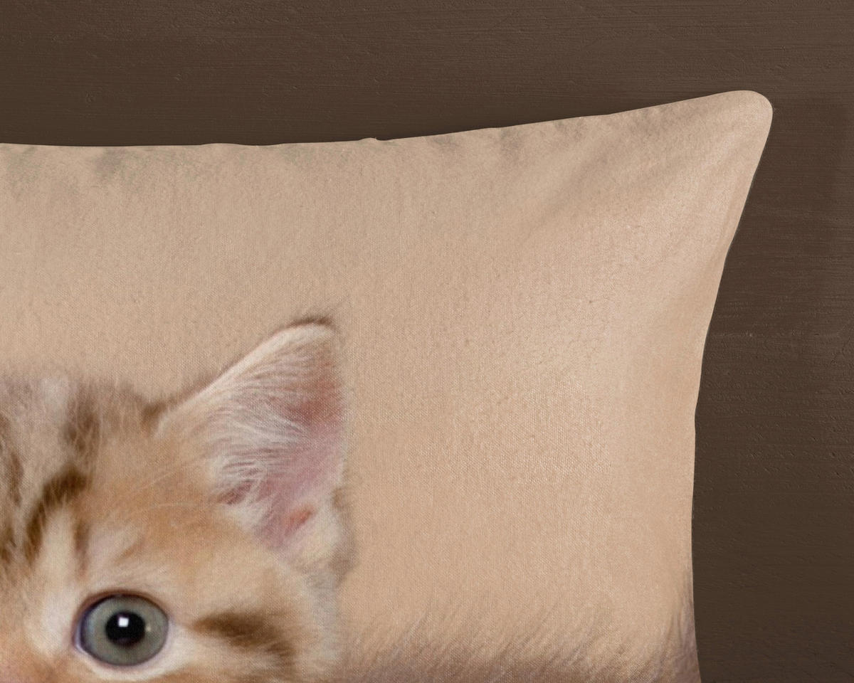 Bettwäsche Kitty sand Baumwolle B/L: ca. 135x200 cm Kitty - sand (135,00/200,00cm) - Good Morning