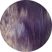 Komar Fototapete Harmony D: ca. 125 cm Harmony - (125,00cm) - Komar