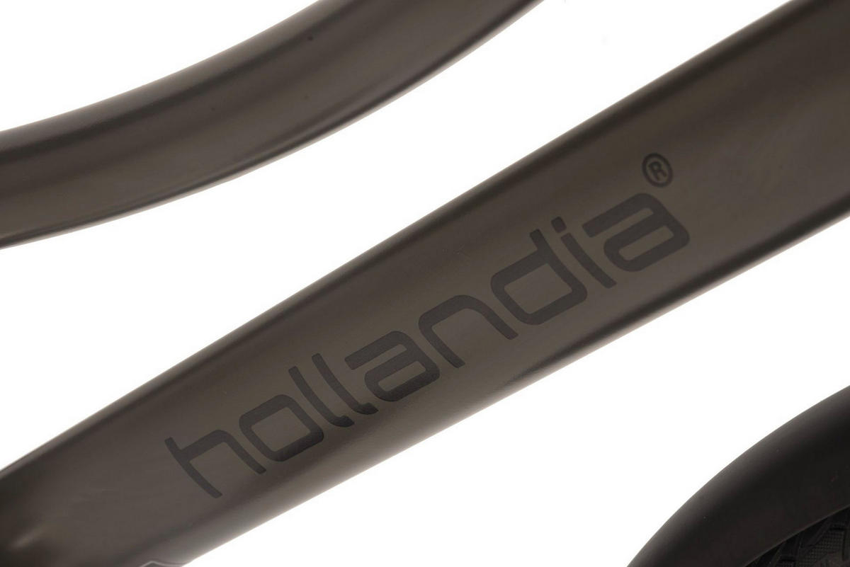 Hollandia E-Cityrad Carry on Carry on 28'' 28 Zoll Rahmenhöhe 54 cm 3 Gänge grau grau ca. 250 W ca. 36 V ca. 28 Zoll Carry on - grau - Hollandia