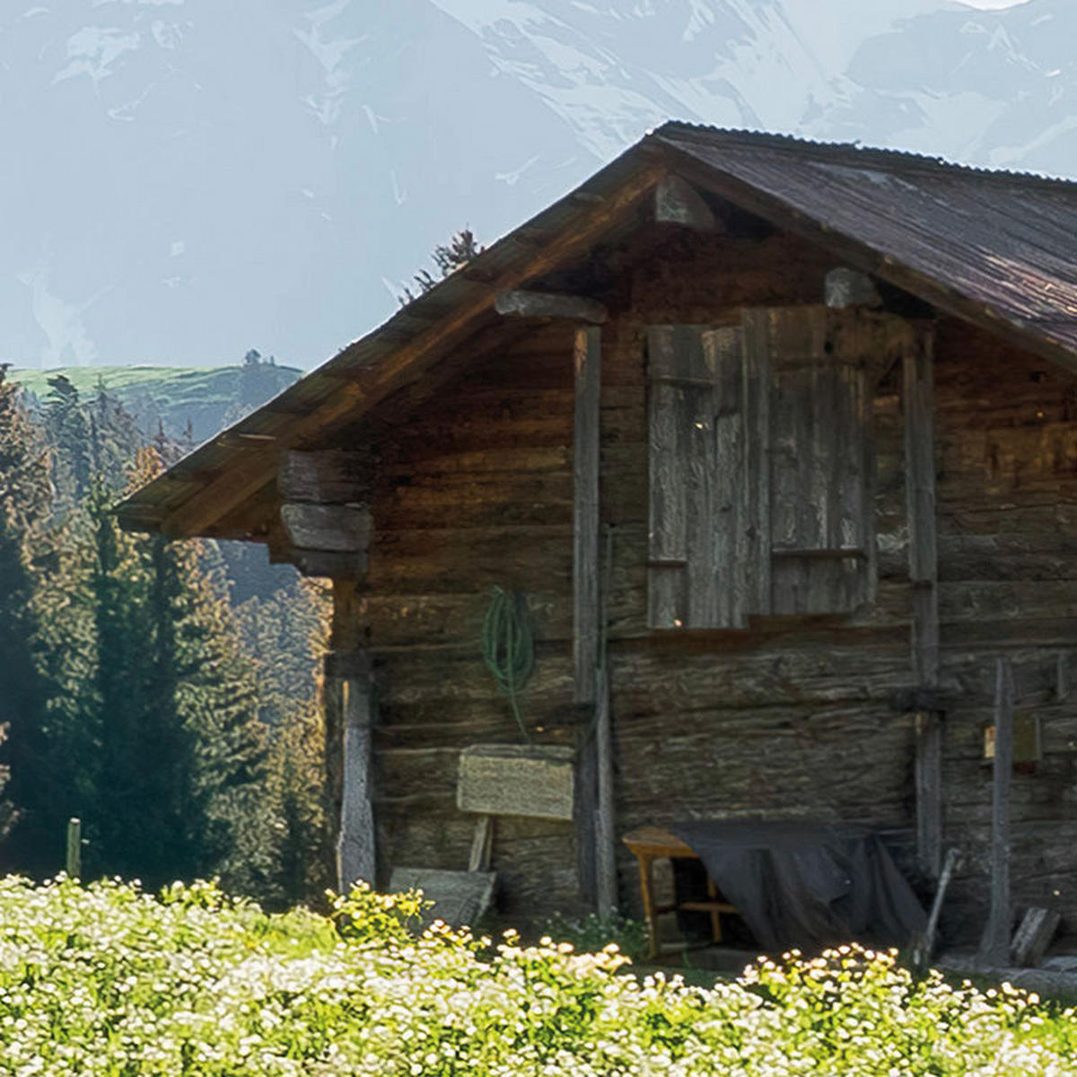 Komar Fototapete Alpenglück B/L: ca. 400x280 cm Alpenglück - (400,00/280,00cm) - Komar
