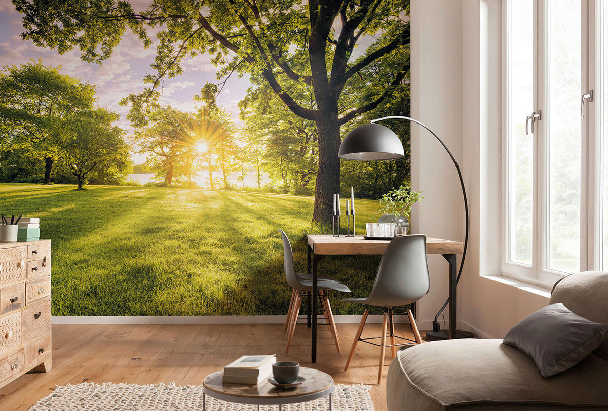 Komar Fototapete Golden Moment B/L: ca. 400x250 cm Golden Moment - (400,00/250,00cm) - Komar