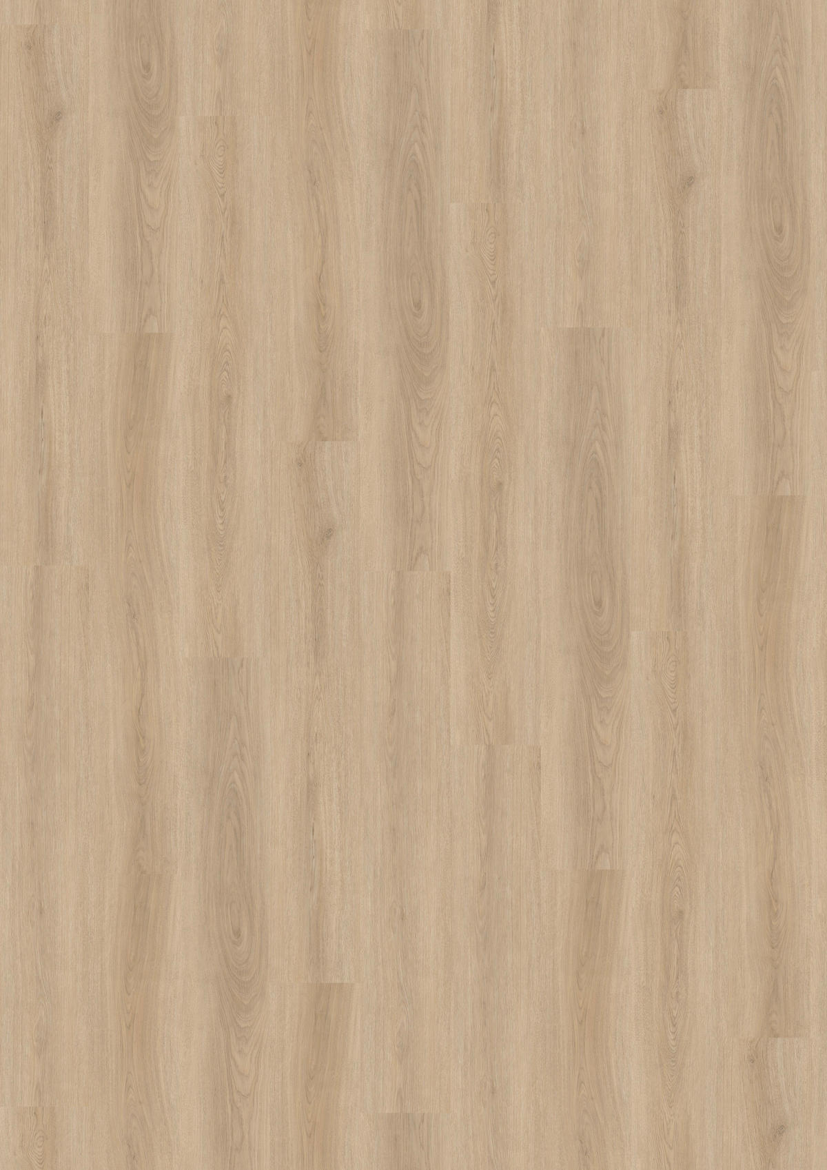 Vinylplanke Bright Oak, ca. 1,115 m² im Paket B/L: ca. 15,24x91,44 cm Bright Oak, ca. 1,115 m² im Paket - Eiche (15,24/91,44cm)