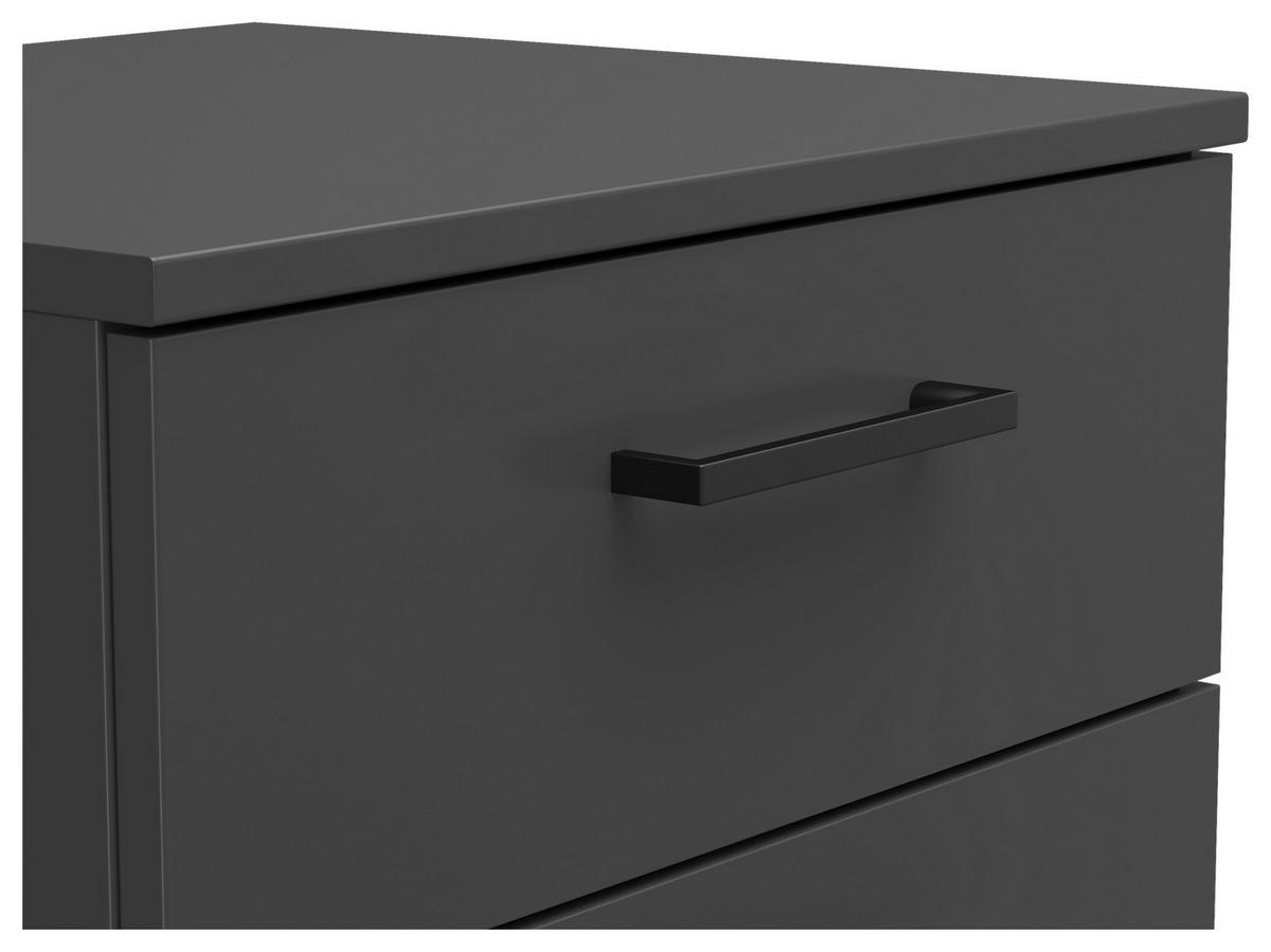Kommode Multi-Stauraum Typ 14 anthrazit B/H/T: ca. 45x83x40 cm Multi-Stauraum Typ 14 - anthrazit (45,00/83,00/40,00cm)
