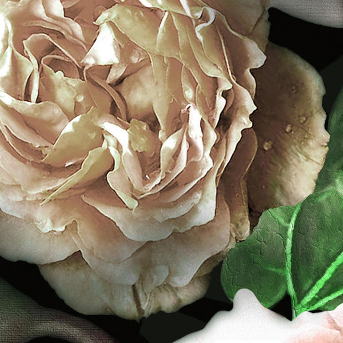 Komar Fototapete Victoria Black B/L: ca. 400x250 cm Victoria Black - (400,00/250,00cm) - Komar