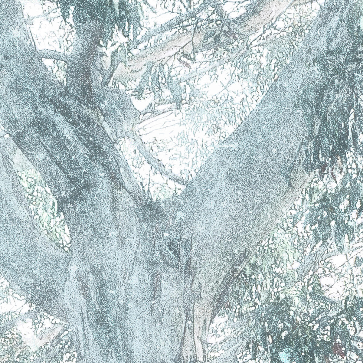 Komar Fototapete Magic Trees B/L: ca. 300x280 cm Magic Trees - (300,00/280,00cm) - Komar
