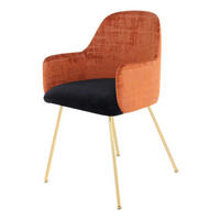 Stuhl Richard 500 terra schwarz Microfaser B/H/T: ca. 53x85x50 cm Richard 500 - gold/terra (53,00/85,00/50,00cm) - 360 Living