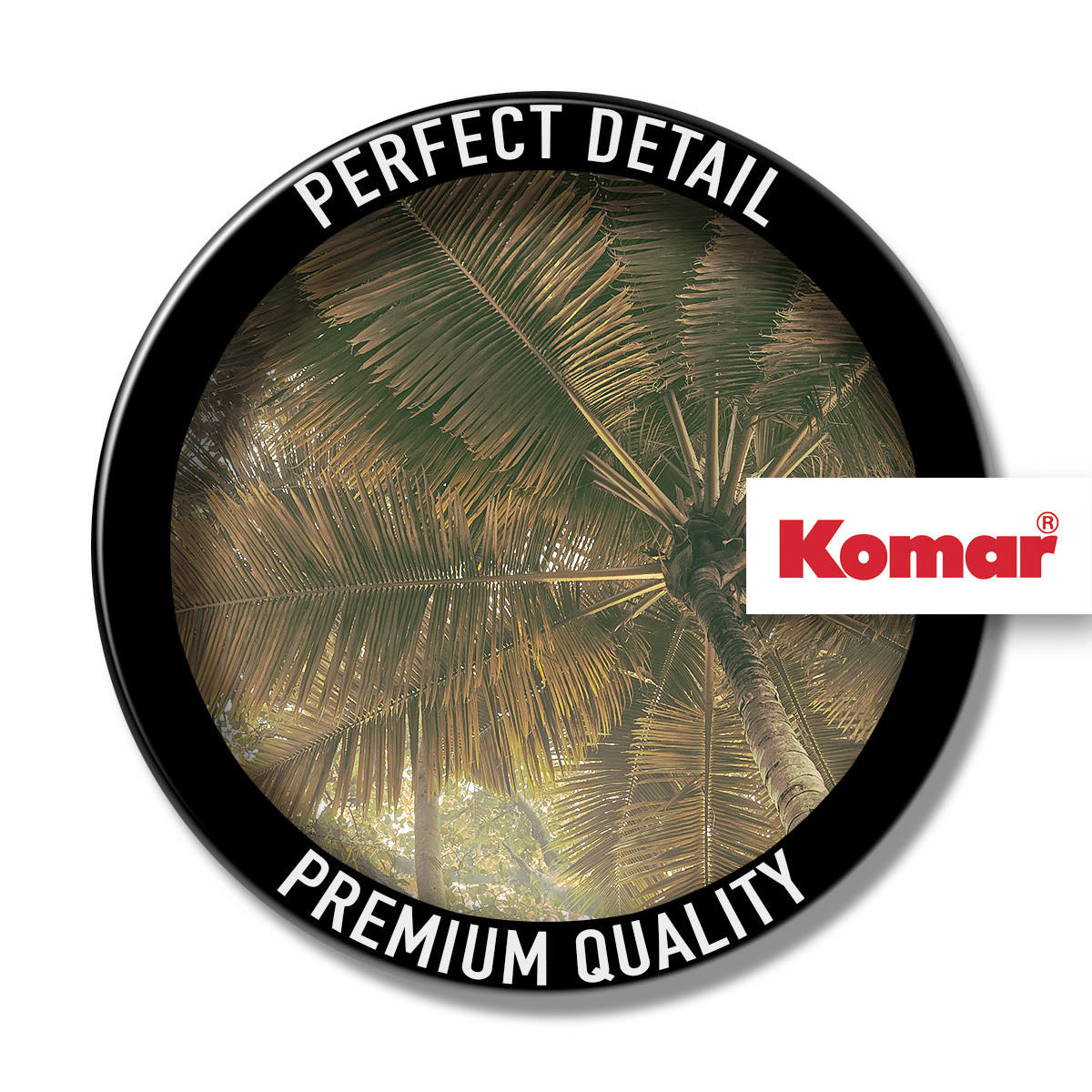 Komar Fototapete Palms Panorama B/L: ca. 300x250 cm Palms Panorama - (300,00/250,00cm) - Komar