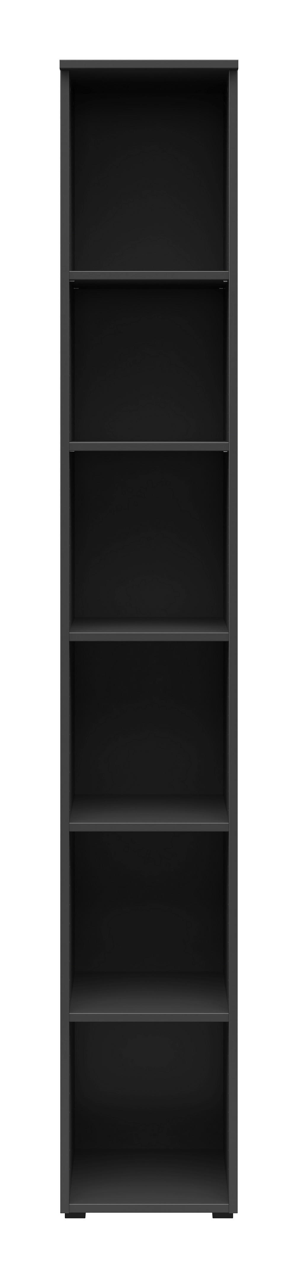 Regal Multi-Stauraum Typ 7 anthrazit B/H/T: ca. 30x195x40 cm Multi-Stauraum Typ 7 - anthrazit (30,00/195,00/40,00cm)