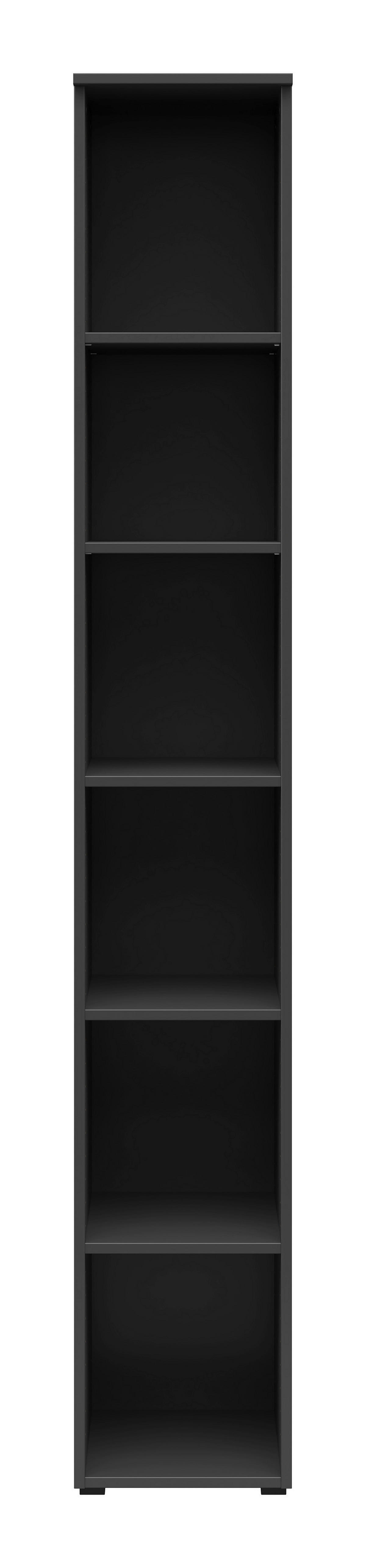 Regal Multi-Stauraum Typ 7 anthrazit B/H/T: ca. 30x195x40 cm Multi-Stauraum Typ 7 - anthrazit (30,00/195,00/40,00cm)