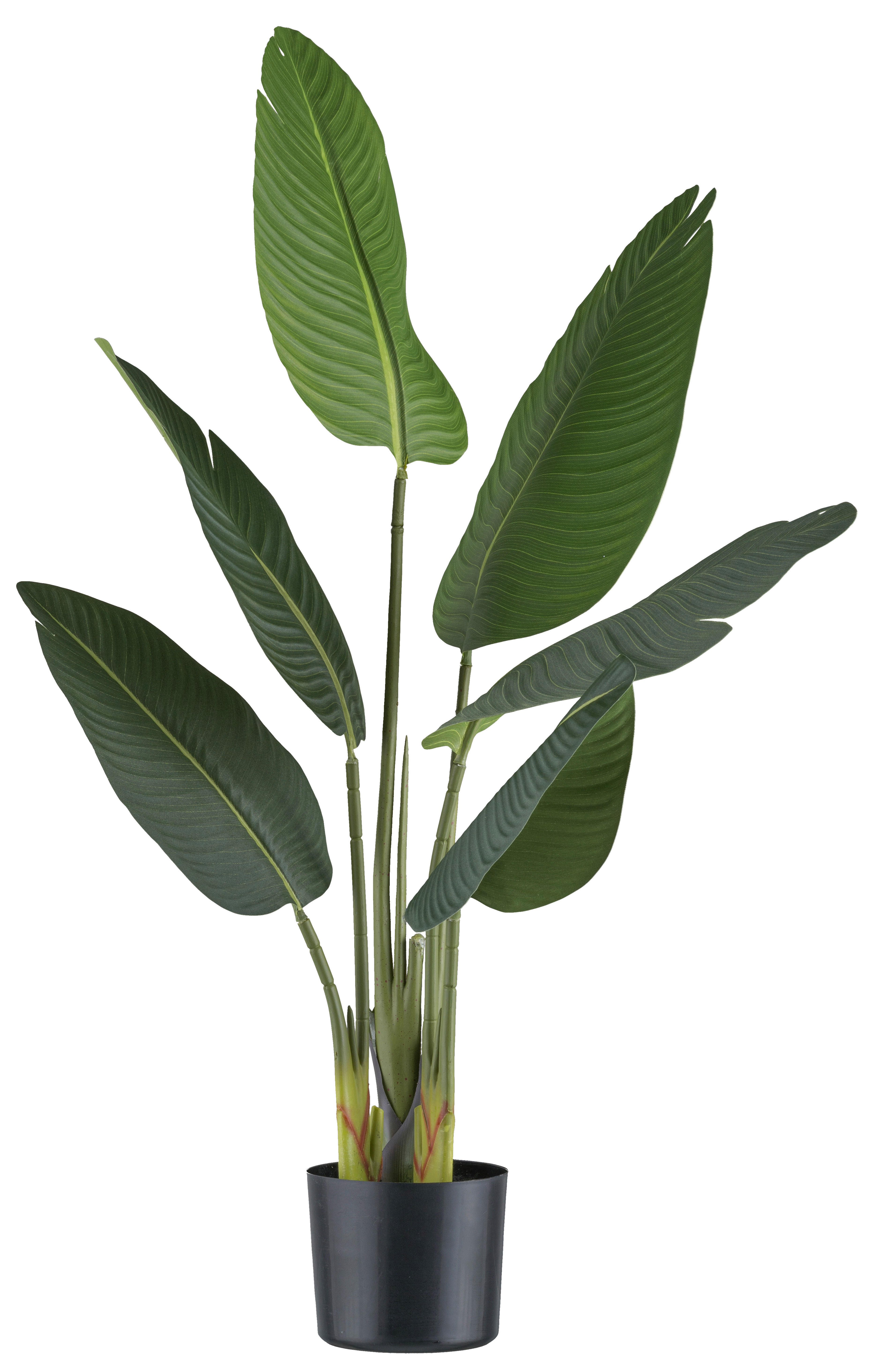 Kunstpflanze Strelitzia Nicolai grün Kunststoff B/H/L: ca. 21x85x21 cm Strelitzia Nicolai - grün (21,00/21,00/85,00cm)