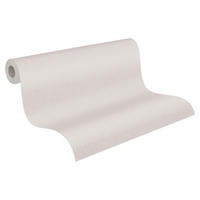 A.S.Creation Vliestapete Terra Uni grau B/L: ca. 53x1005 cm Terra - grau (53,00/1005,00cm) - A.S.Creation