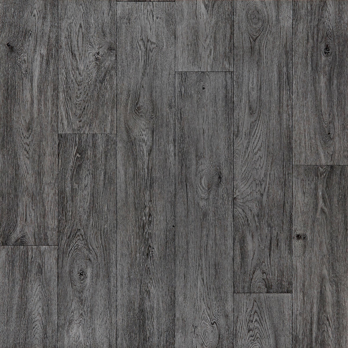 Vinylboden Passion anthrazit Plankeneiche B: ca. 400 cm pro m² Passion - anthrazit (400,00cm)