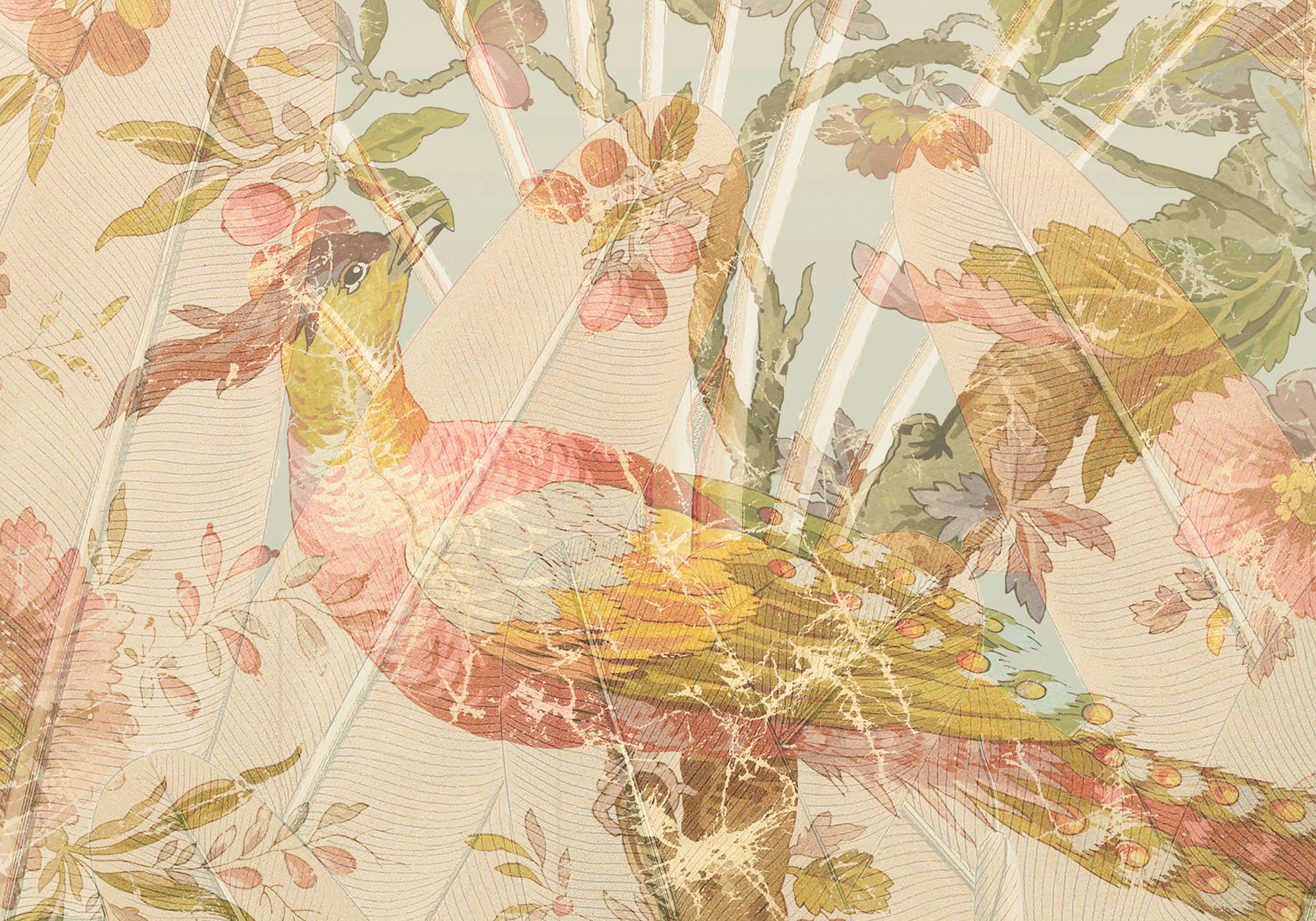 Komar Fototapete Oiseau de Paradis B/L: ca. 350x255 cm Oiseau de Paradis - (350,00/255,00cm) - Komar