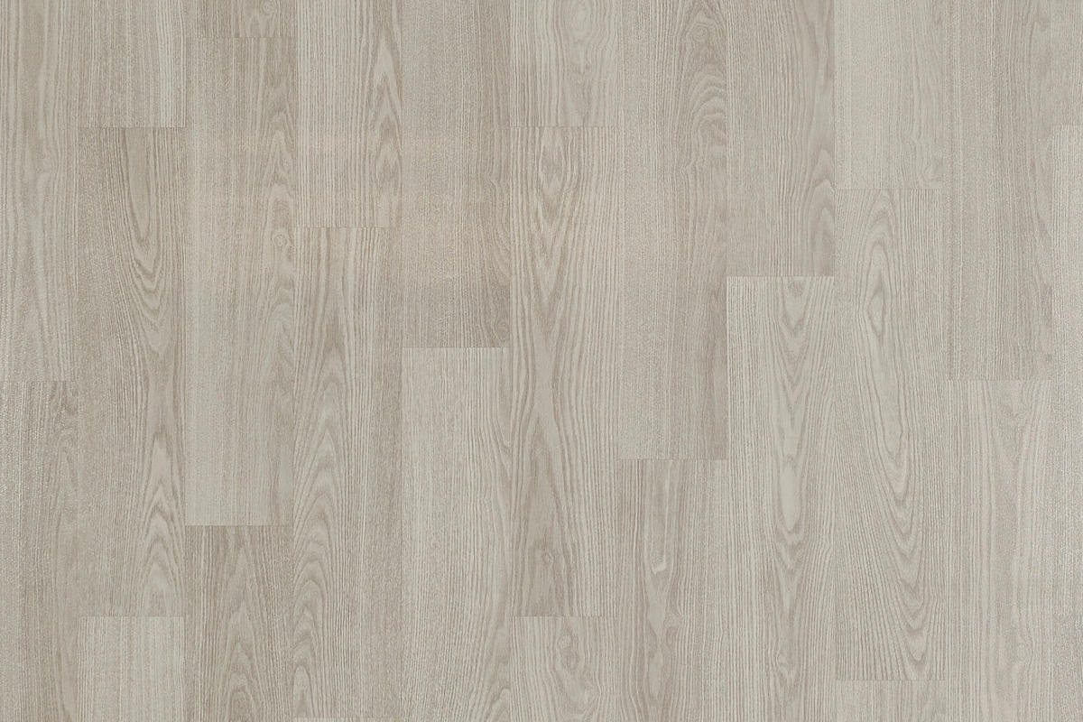 Vinylboden Berlin Eiche B/L: ca. 200x350 cm pro Stück Berlin - grau (200,00/350,00cm)