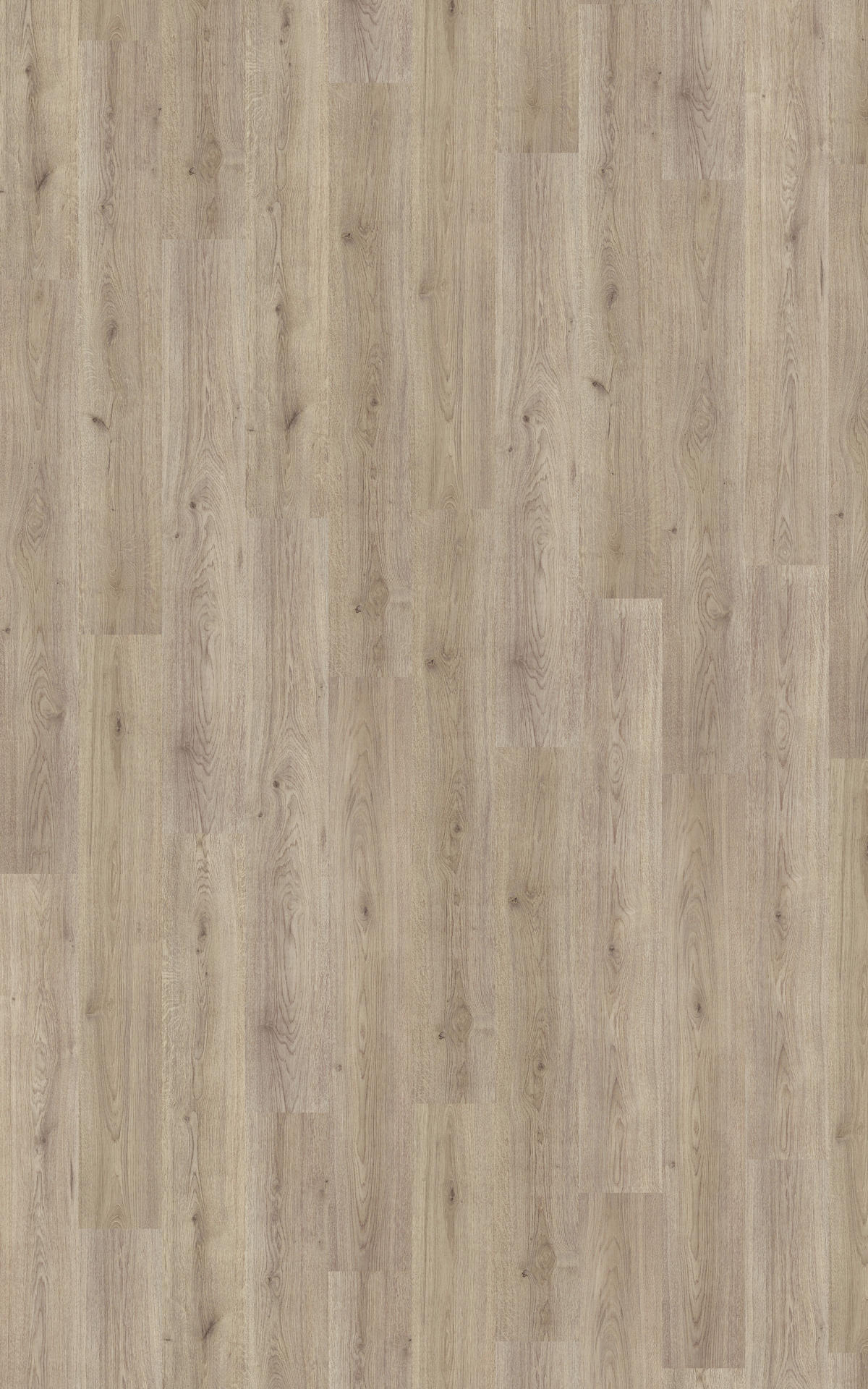 Laminatboden Trend ca. 2,39 m² im Paket  B/L: ca. 19,3x137,6 cm pro Paket Trend ca. 2,39 m² im Paket - grau (19,30/137,60cm)