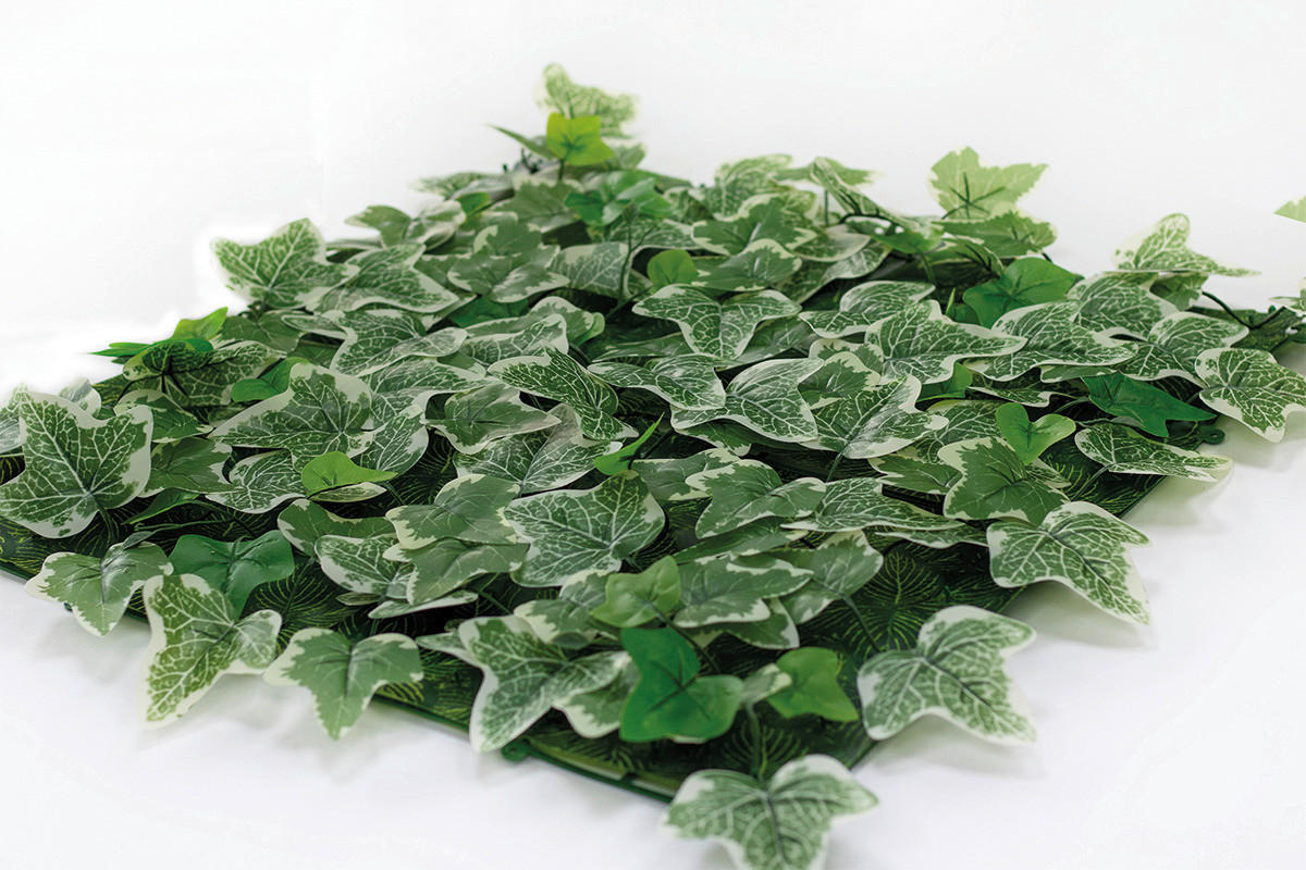 CATRAL/NORTENE Vertikal-Garten grün Kunststoff B/H/L: ca. 50x1,5x50 cm Vertikal-Garten - grün (50,00/50,00/1,50cm) - CATRAL/NORTENE