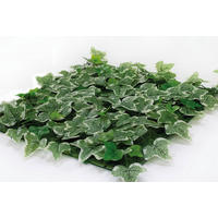 CATRAL/NORTENE Vertikal-Garten grün Kunststoff B/H/L: ca. 50x1,5x50 cm Vertikal-Garten - grün (50,00/50,00/1,50cm) - CATRAL/NORTENE