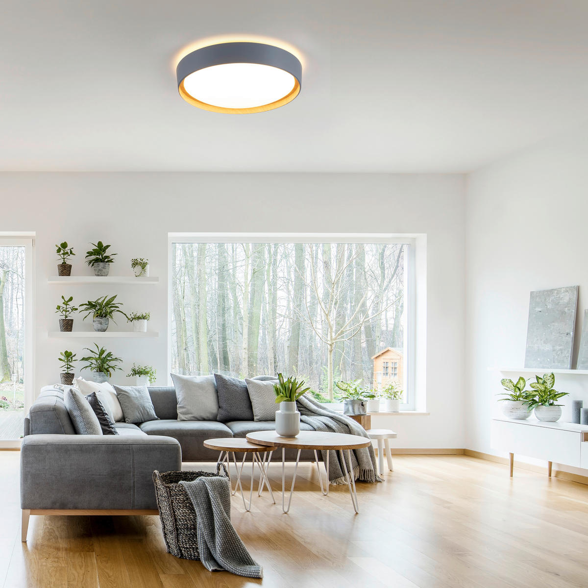 Just Light LED-Deckenleuchte EMILIA 14347-15 grau Kunststoff Metall B/H/D: ca. 40x10x40 cm 1 Brennstellen EMILIA - grau (40,00/10,00cm) - Just Light