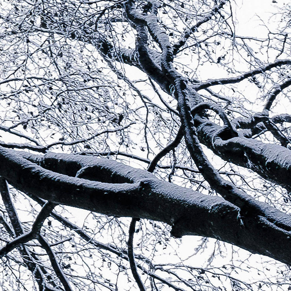Thumbnail - Komar Fototapete Up B/L: ca. 400x250 cm