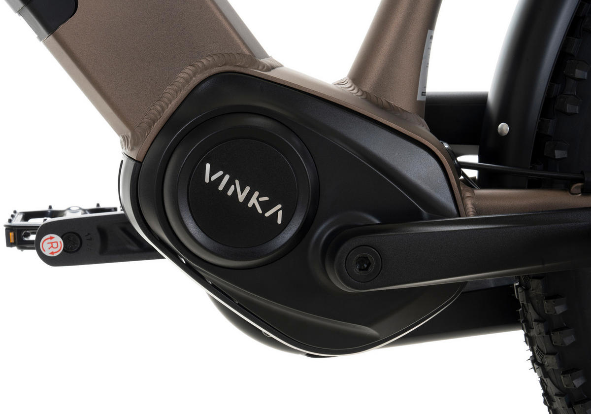 Adore E-Bike CX-290 CX-290 28 Zoll Rahmenhöhe 44 cm 8 Gänge bronze bronze ca. 250 W ca. 28 Zoll CX-290 - bronze - Adore