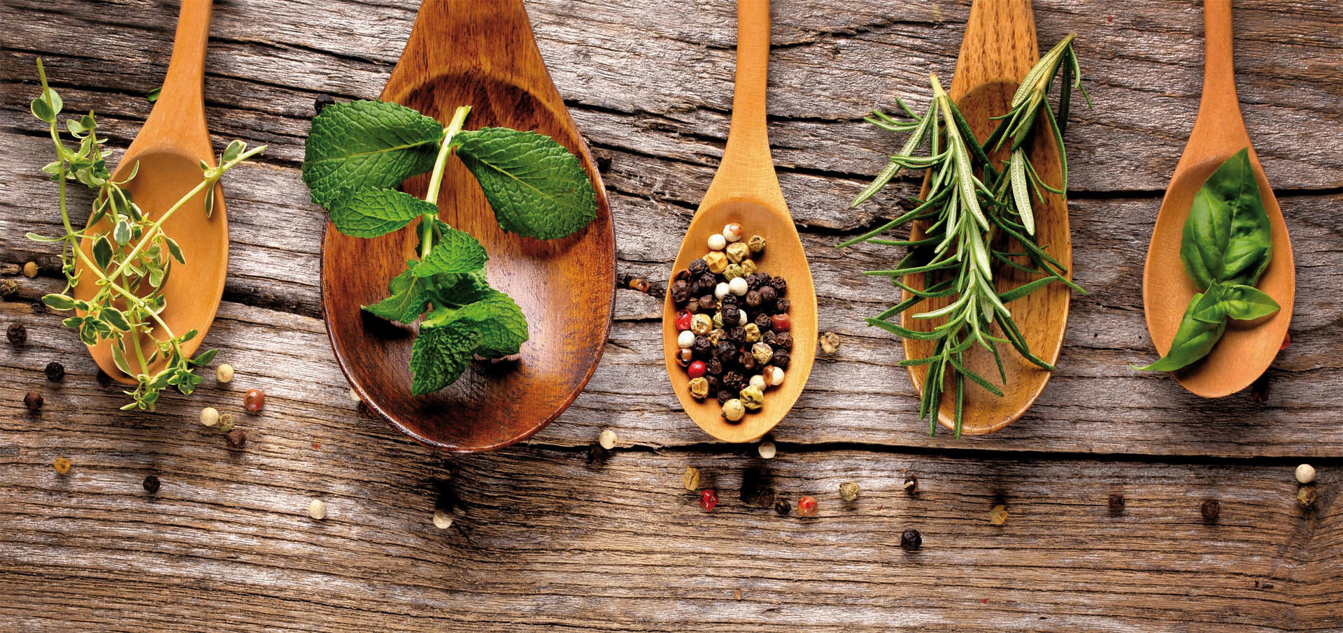 Bönninghoff Keilrahmenbild Kräuter B/L: ca. 33x70 cm Keilrahmenbild 33x70cm - (33,00/70,00cm) - Bönninghoff