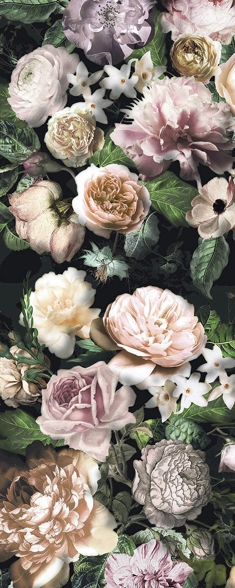 Komar Fototapete Victoria Black Panel B/L: ca. 100x250 cm Victoria Black Panel - (100,00/250,00cm) - Komar