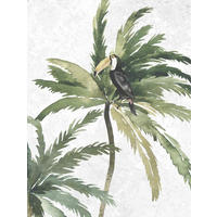 Komar Poster Tropical Toucan Tropical Toucan - Komar