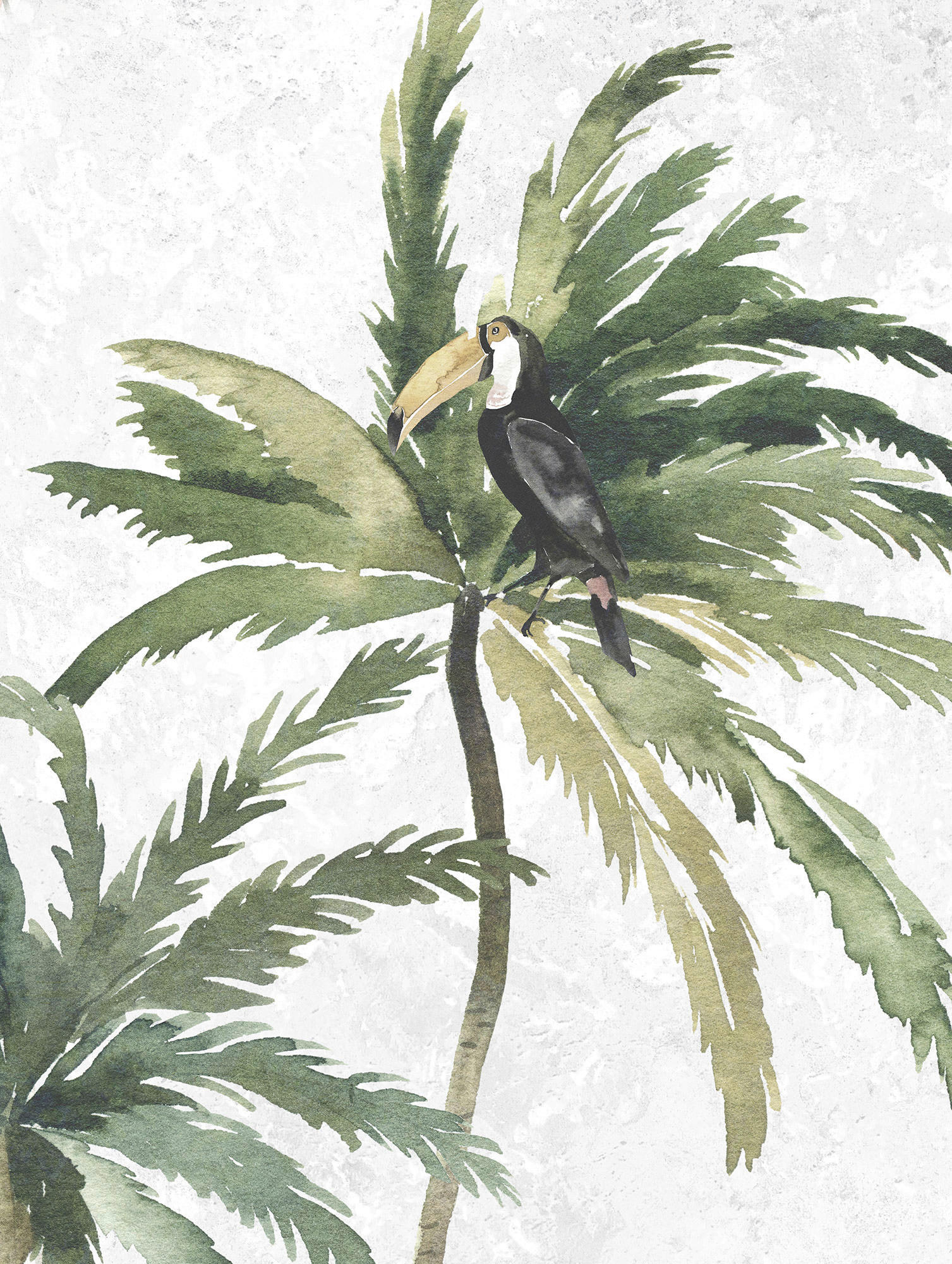 Komar Poster Tropical Toucan günstig online kaufen