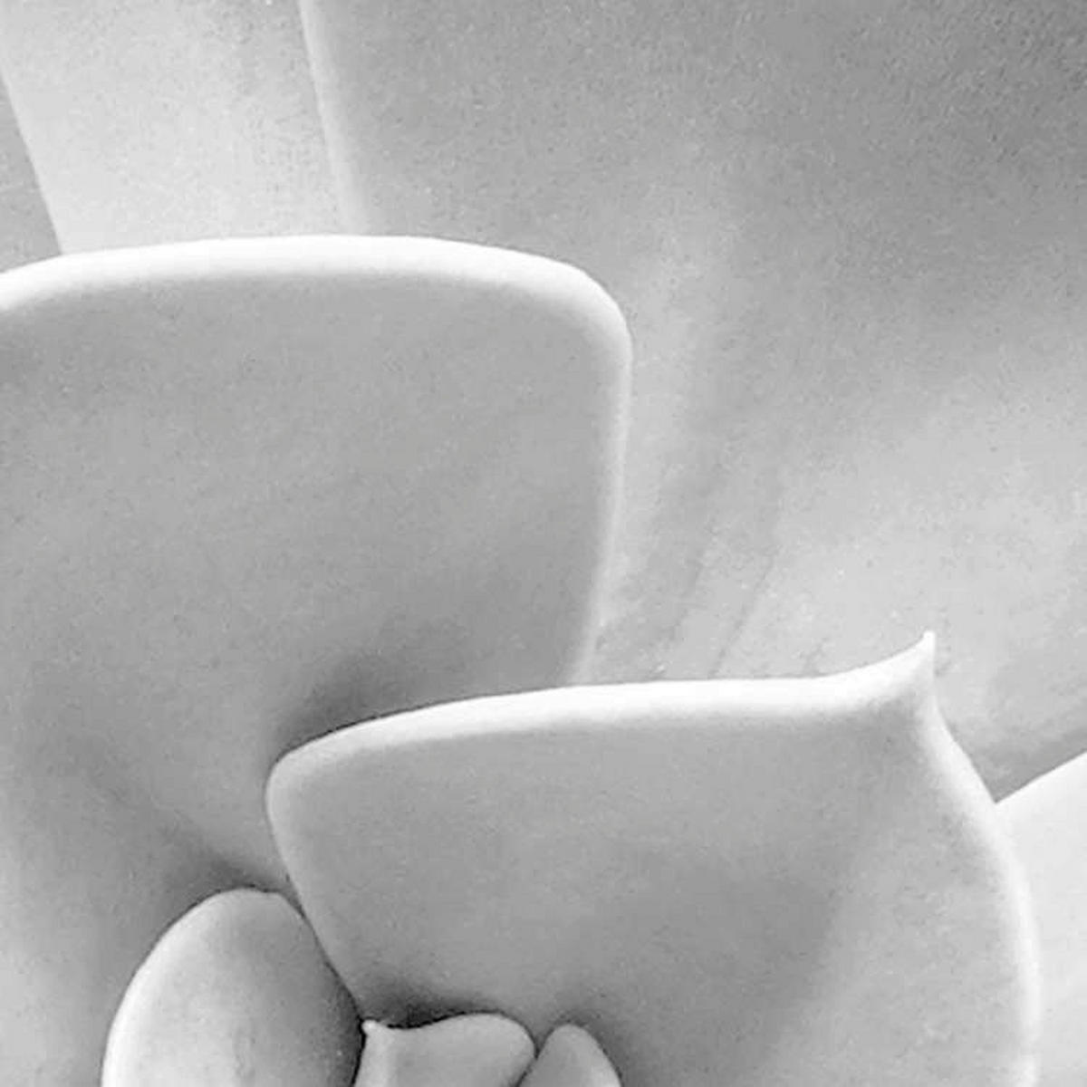 Komar Fototapete Shades Black and White B/L: ca. 400x250 cm Shades Black and White - (400,00/250,00cm) - Komar