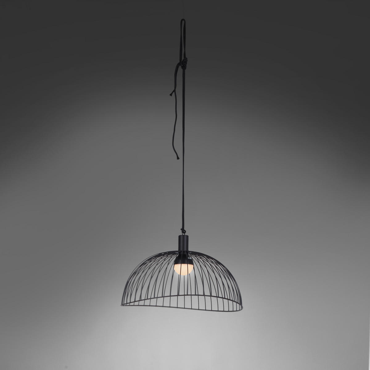 Just Light Pendelleuchte PN19922-18 schwarz Kunststoff H/D: ca. 26x46 cm 1.0 Brennstellen DAVID - schwarz (46,00/26,00cm) - Just Light