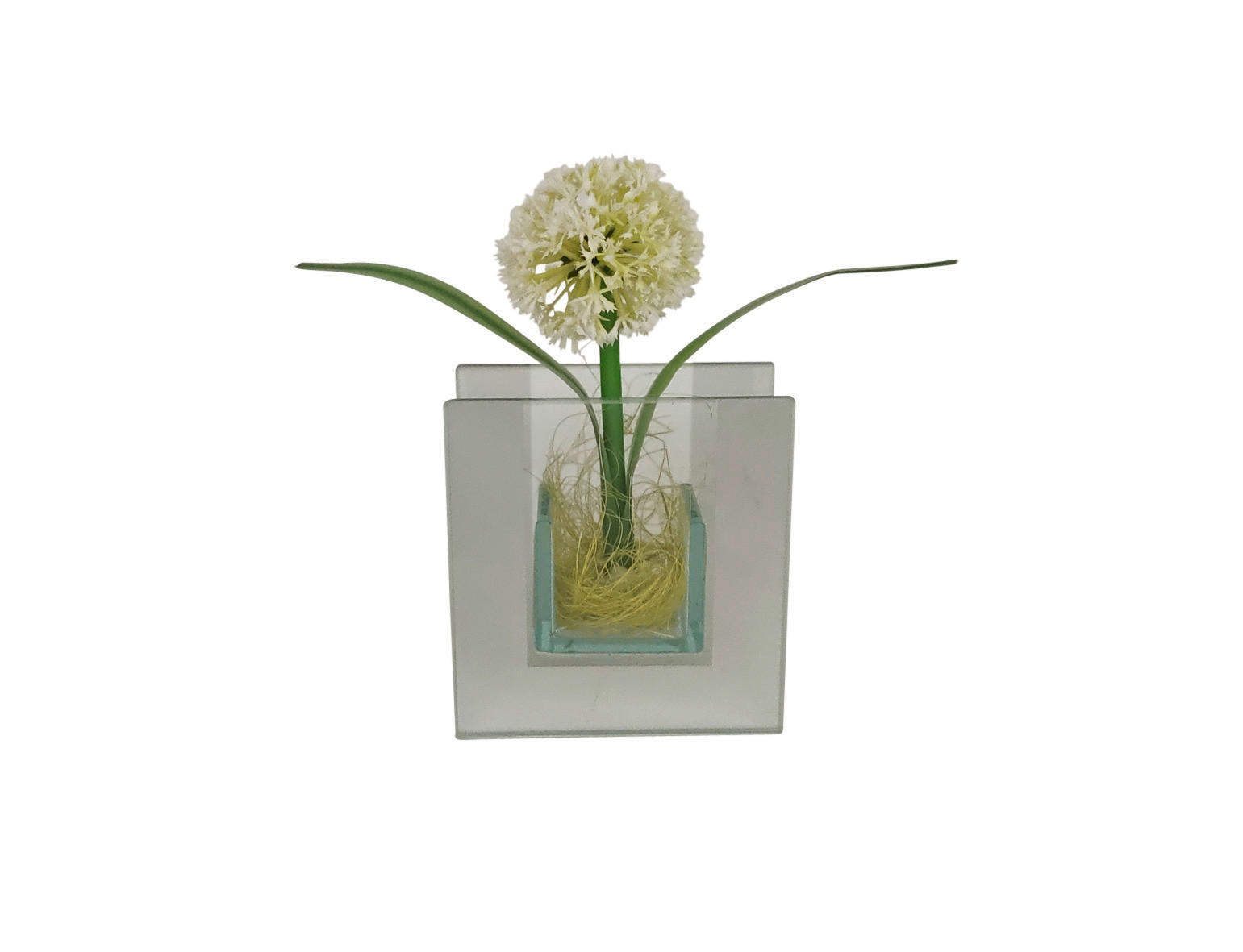 POCOline Vase klar Glas B/H/L: ca. 4x9x8,5 cm Spiegelvase_eckig - klar (8,50/4,00/9,00cm) - POCOline