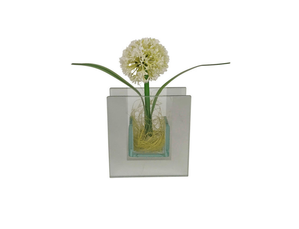 POCOline Vase klar Glas B/H/L: ca. 4x9x8,5 cm Spiegelvase_eckig - klar (8,50/4,00/9,00cm) - POCOline
