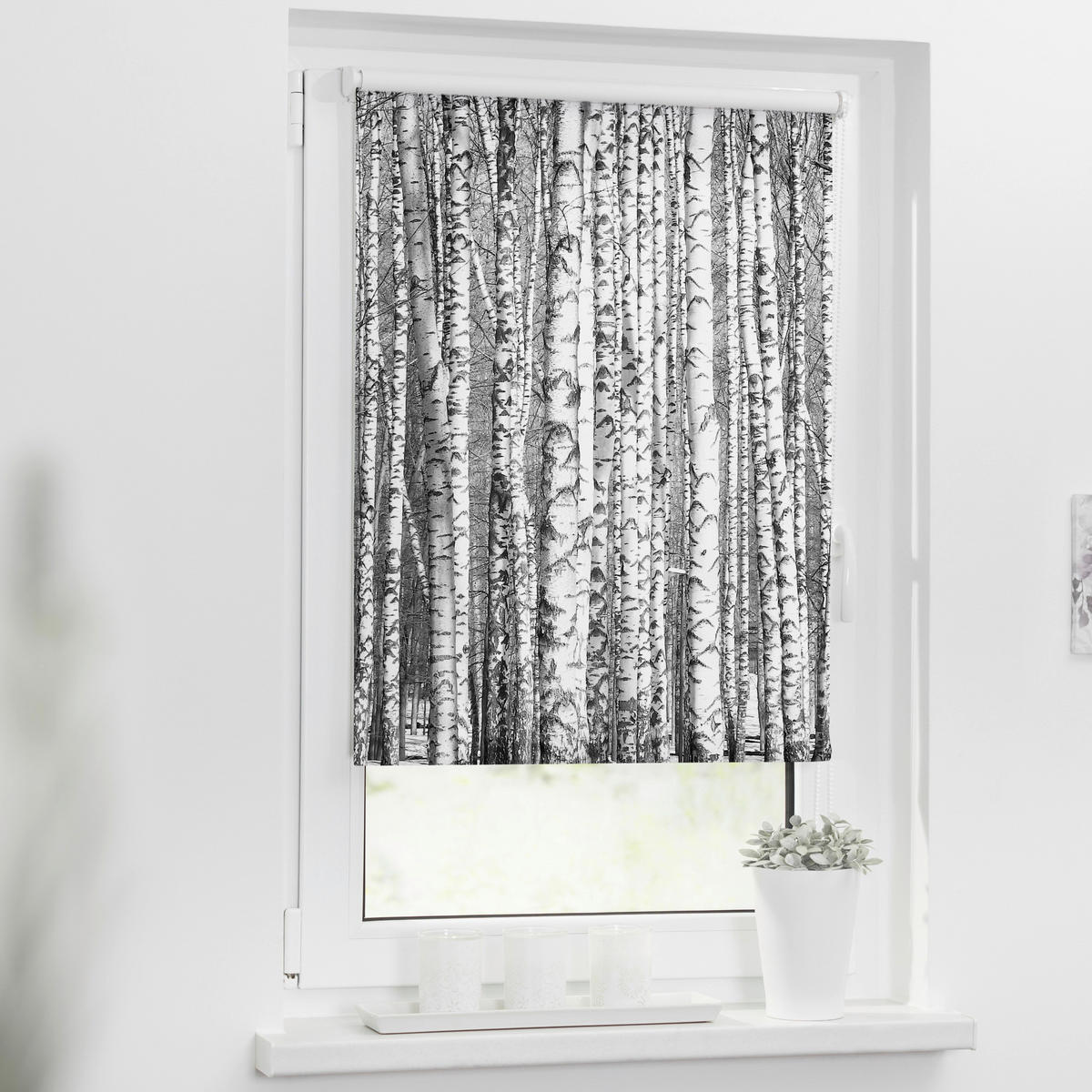 Rollo Bretter Birken schwarz B/L: ca. 80x150 cm Bretter Birken - weiß/schwarz (80,00/150,00cm) - LICHTBLICK