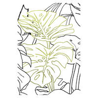 Komar Poster Monstera Borsigiana Pflanzen B/L: ca. 30x40 cm Monstera Borsigiana - (30,00/40,00cm) - Komar