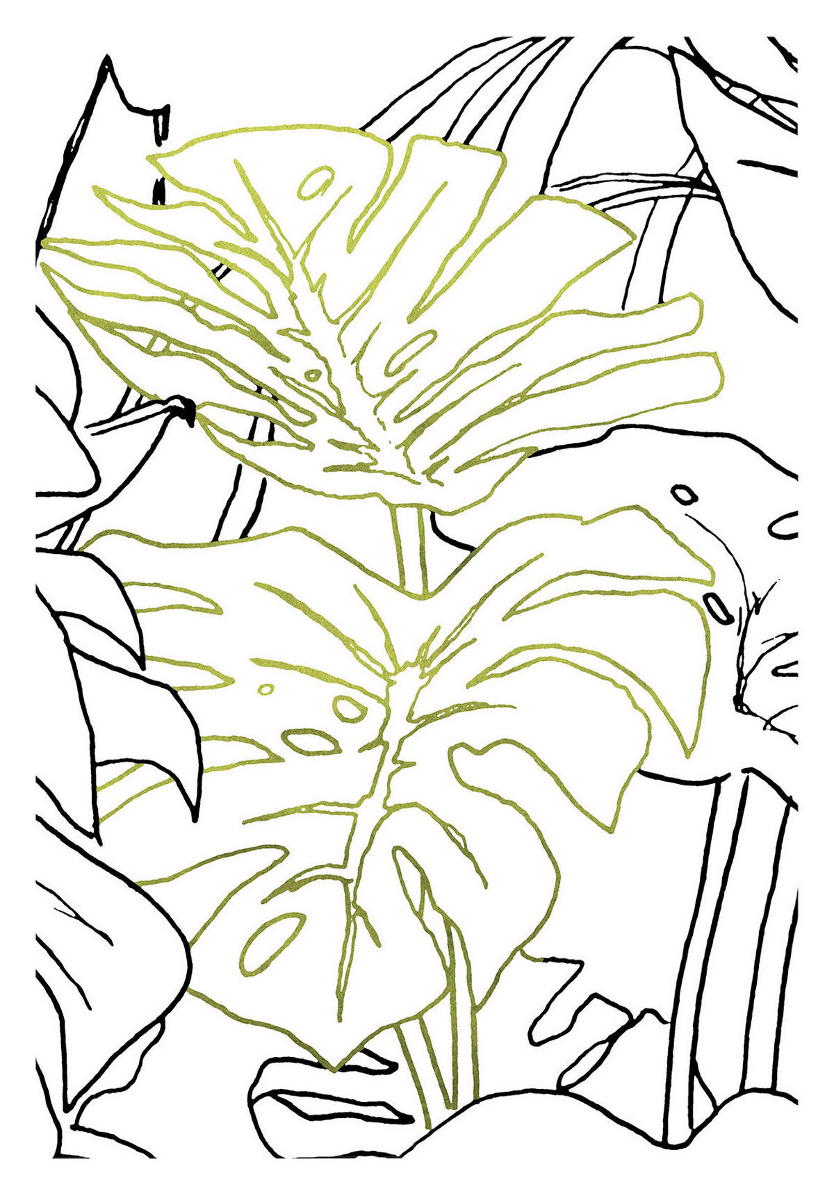 Komar Poster Monstera Borsigiana Pflanzen B/L: ca. 30x40 cm Monstera Borsigiana - (30,00/40,00cm) - Komar