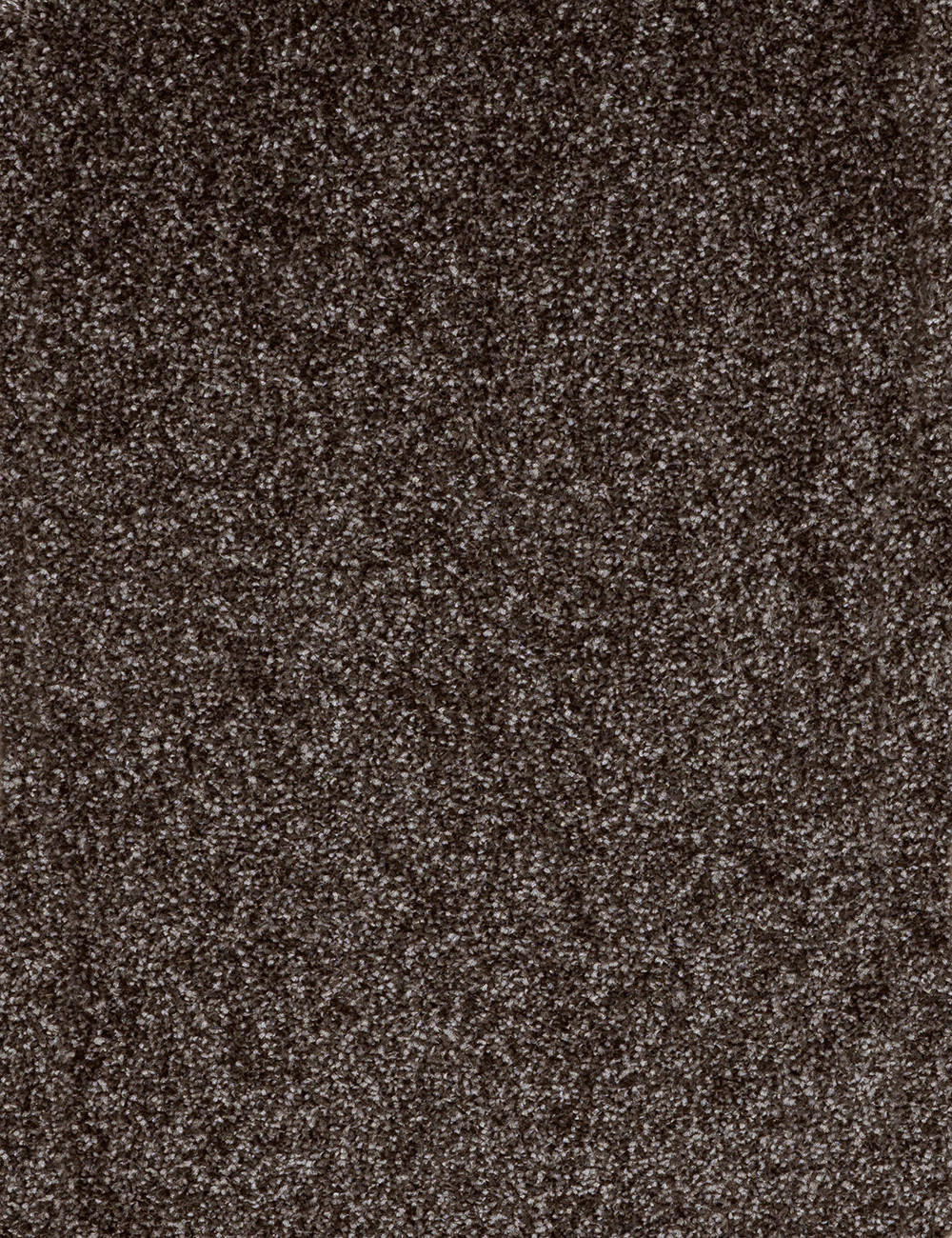 Teppichboden Kent anthrazit B: ca. 500 cm pro m² Kent - anthrazit (500,00cm)