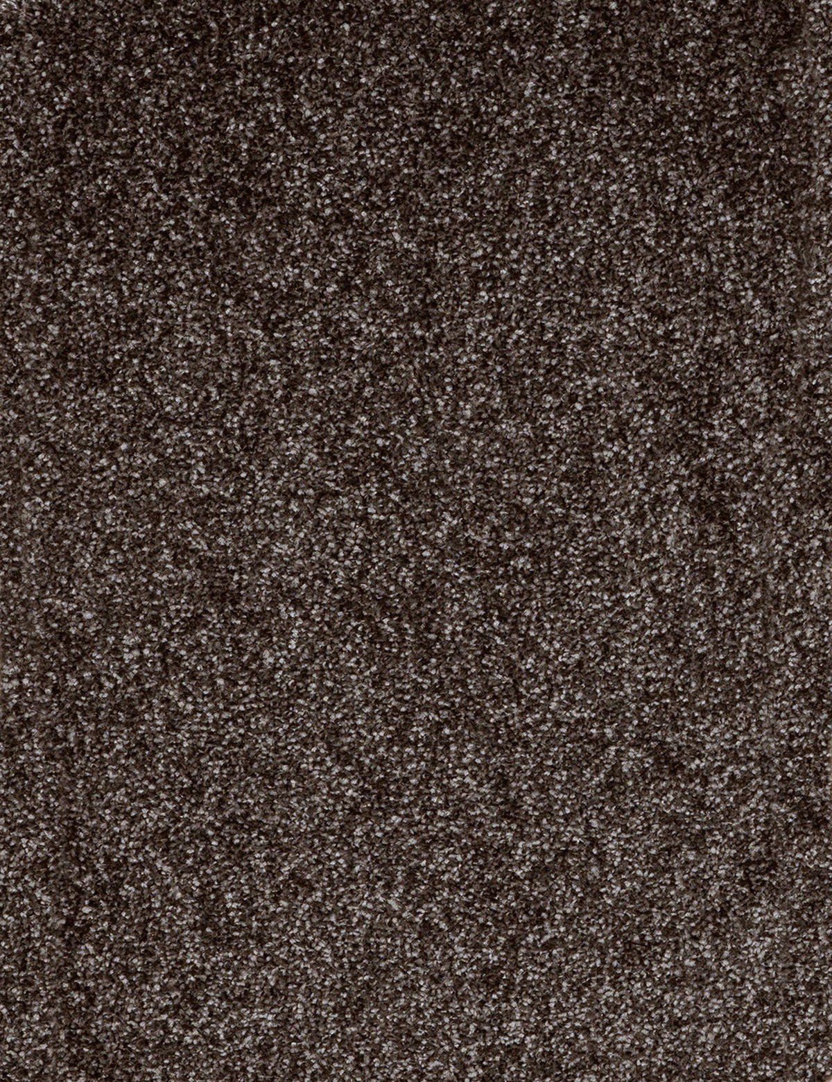 Teppichboden Kent anthrazit B: ca. 400 cm pro m² Kent - anthrazit (400,00cm)