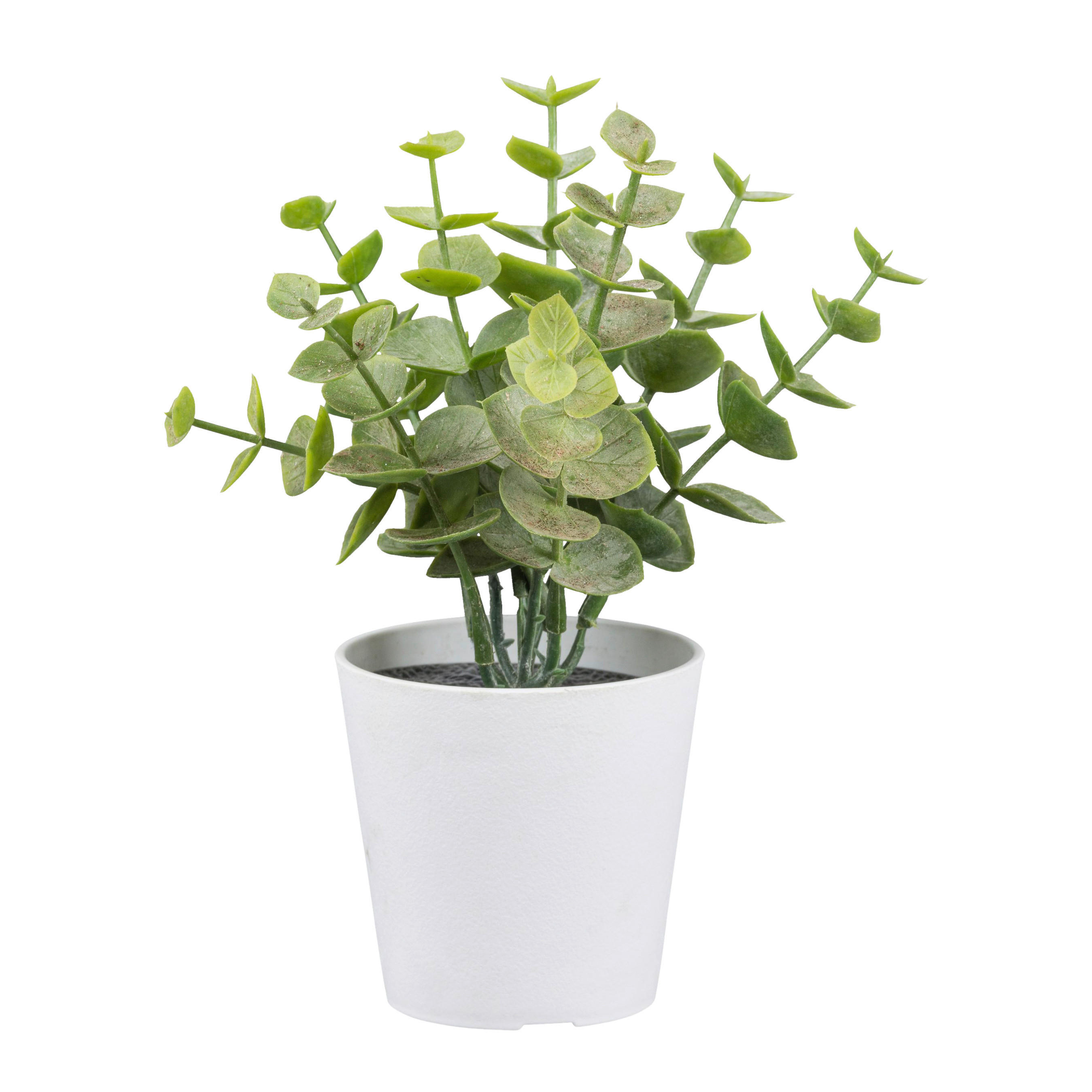Kunstpflanze grün Kunststoff H: ca. 15 cm Eukalyptus - weiß/grün (15,00cm)