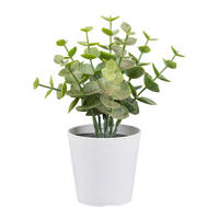 Kunstpflanze grün Kunststoff H: ca. 15 cm Eukalyptus - weiß/grün (15,00cm)