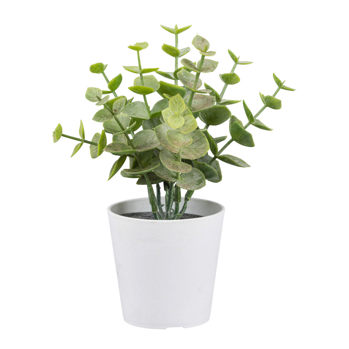 Kunstpflanze grün Kunststoff H: ca. 15 cm Eukalyptus - weiß/grün (15,00cm)