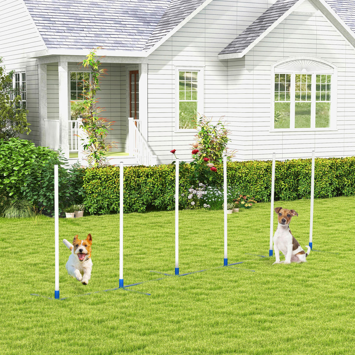 PawHut Hunde-Agility-Set blau Kunststoff B/H/L: ca. 60x94x305 cm Hunde-Agility-Set - blau/weiß (305,00/60,00/94,00cm) - PawHut