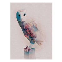 Komar Poster Animals Forest Owl Eule B/L: ca. 30x40 cm Animals Forest Owl - (30,00/40,00cm) - Komar