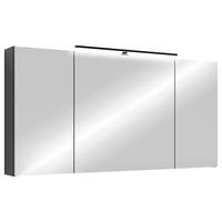 Spiegelschrank SPREE anthrazit B/H/T: ca. 120x60x20 cm SPREE - anthrazit (120,00/60,00/20,00cm) - byLIVING