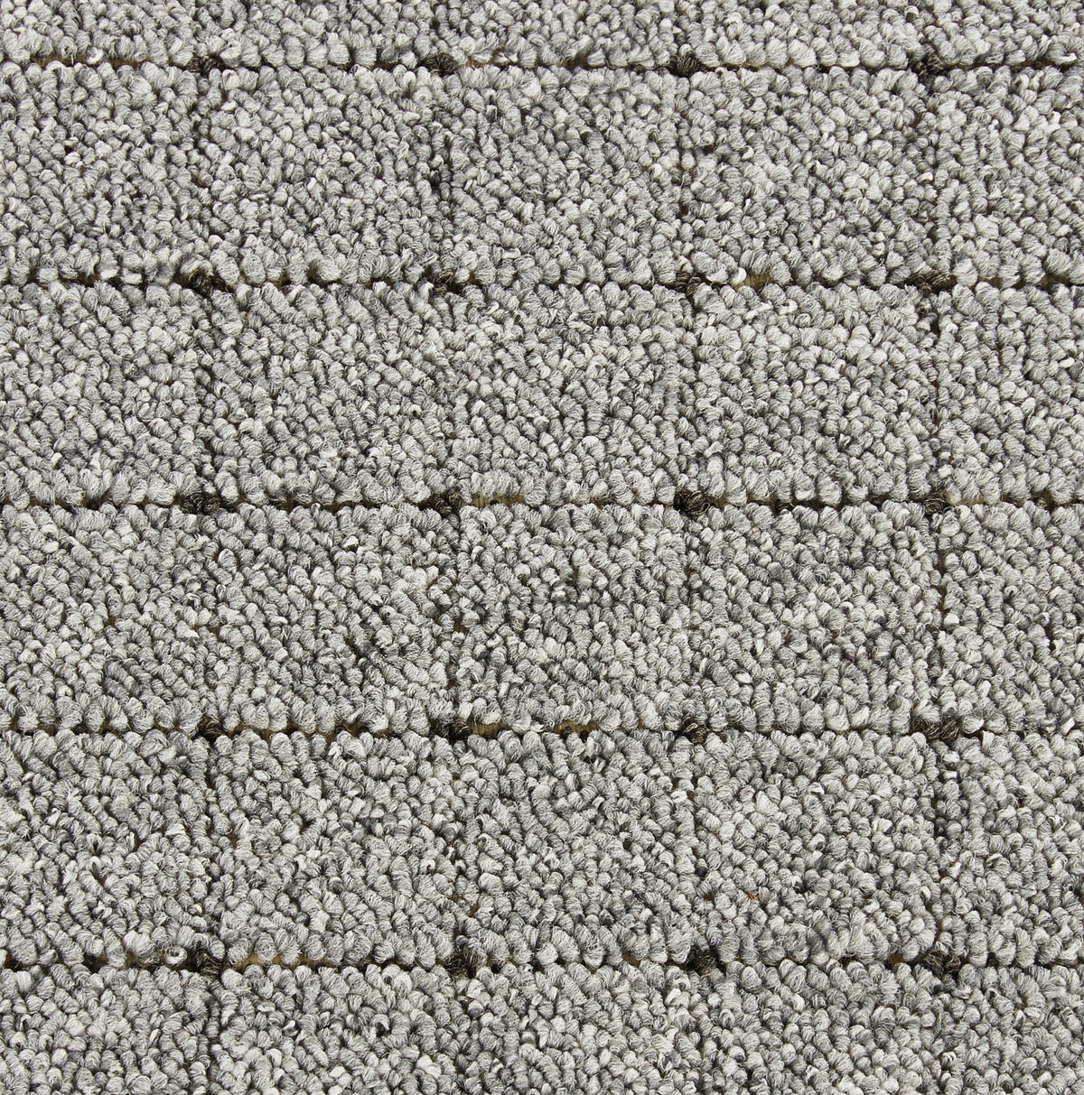 Teppichboden Zembla grau B: ca. 500 cm pro m² Zembla - grau (500,00cm)