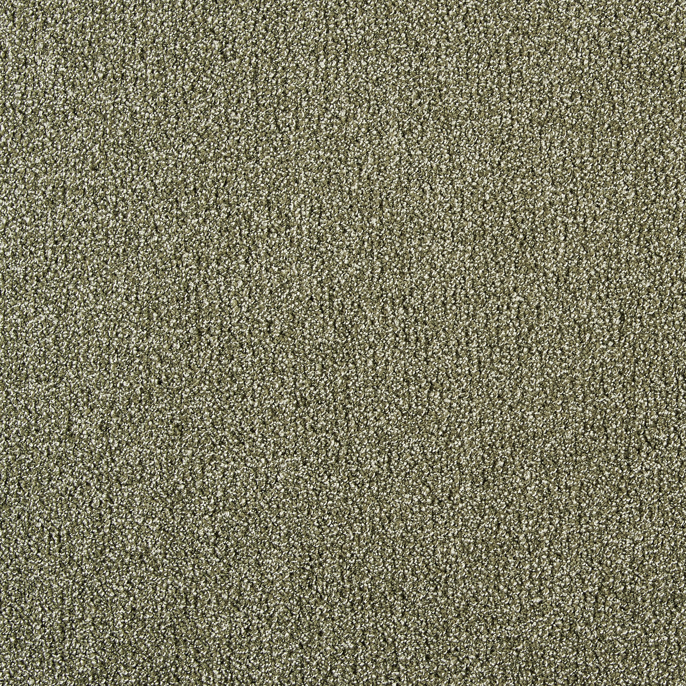 Teppichboden Java grün B: ca. 500 cm pro m² Java - grün (500,00cm)