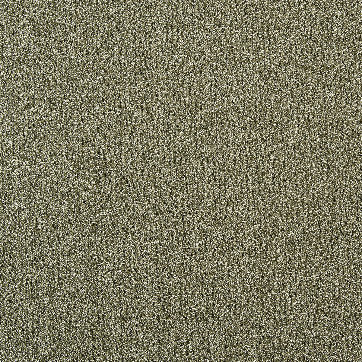 Teppichboden Java grün B: ca. 500 cm pro m² Java - grün (500,00cm)