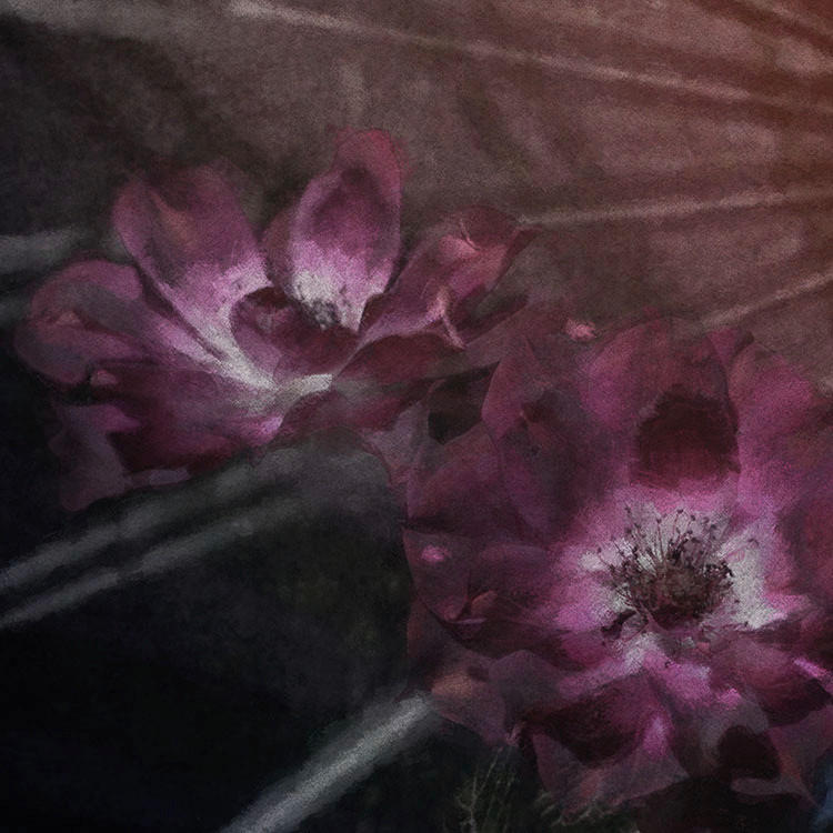 Komar Fototapete Flemish Flowers D: ca. 125 cm Flemish Flowers - (125,00cm) - Komar